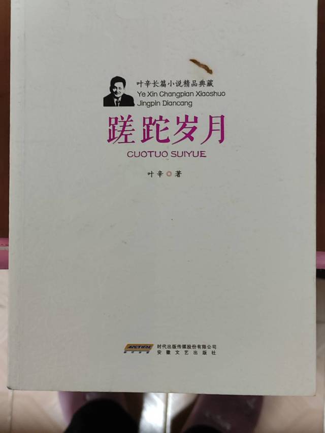 给爸妈买的小说《蹉跎岁月》