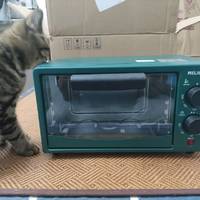 连只猫大小都没的烤箱能做什么？