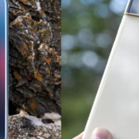 谷歌Pixel 6 Pro VS 三星GalaxyS21 Ultra：最好的手机并驾齐驱