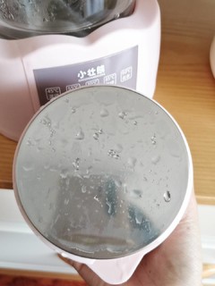 有了恒温水壶，我爱上了喝水