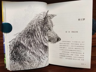 精彩的动物小说《狼王梦》！