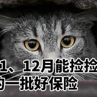 11、12月能捡捡漏的一批好保险，重疾险/医疗险/寿险/意外险/理财险盘点！