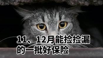 11、12月能捡捡漏的一批好保险，重疾险/医疗险/寿险/意外险/理财险盘点！