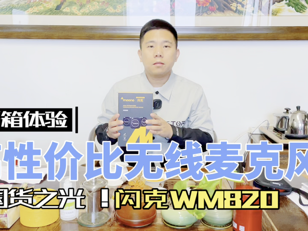 国货之光高性价比闪克WM820无线麦克风