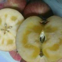 这个苹果看着不咋地确实好吃