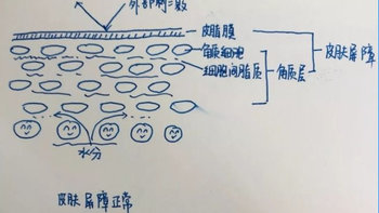 SK2大红瓶好像不适合敏感肌，秋冬季敏感肌面霜如何选择？