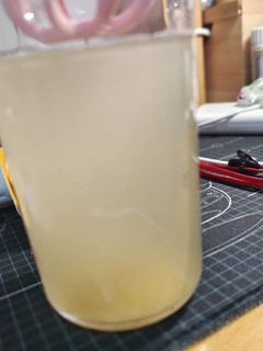 一个一杯的网易严选蜂蜜🍯柚子茶胶囊