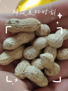 不错的花生🥜