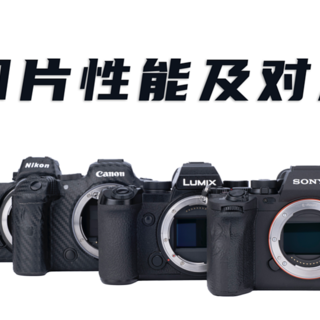 索尼α7 IV、佳能R6、尼康Z6 II、松下S5（下）