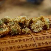 菊花并不是越贵越好！如何挑选好菊花？跟着茶友学一招