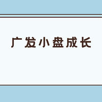 基金 篇一百一十九：广发小盘成长混合162703最新持仓分析，重仓新能源，今年就赚0.4%？