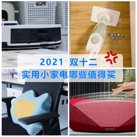 2021年双十二有哪些实用的小家电值得购买？