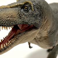 恐龙模型 篇二：到底谁是地表最强恐龙——PNSO特暴龙把玩分享