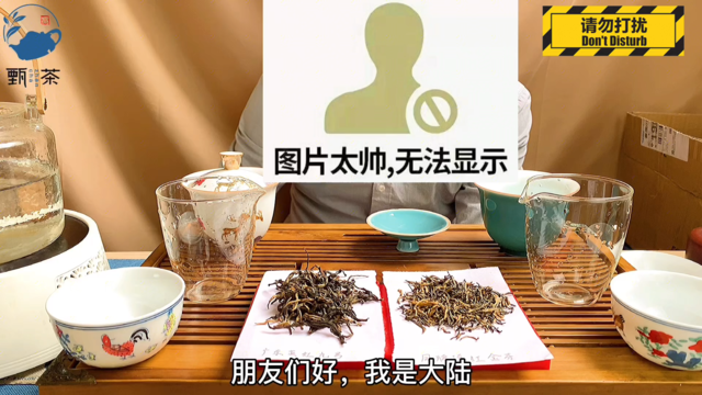 广东也有红茶？没错，英红九号！