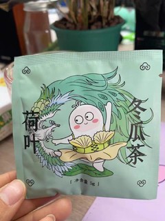 清爽解腻“白瘦子”茶小空荷叶冬瓜茶