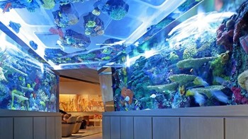 价值3亿的度假别墅，用「水族馆」当鱼缸，太酷了！