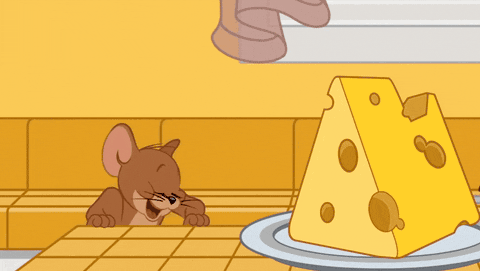 猫和老鼠里，Jerry一直爱吃的是哪种奶酪？奶酪分类入门