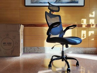​永艺1098电脑椅：人体工学设计，居家