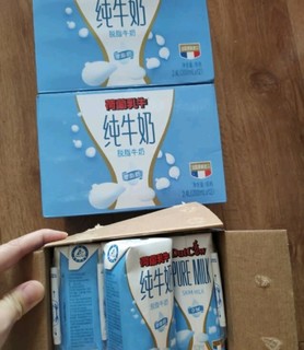 荷兰乳牛