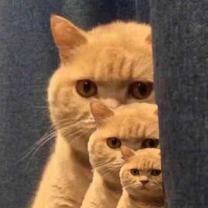 龙头在牙齿间高频滑动,相比水牙线更加温和,通过牙线头的10000次震动