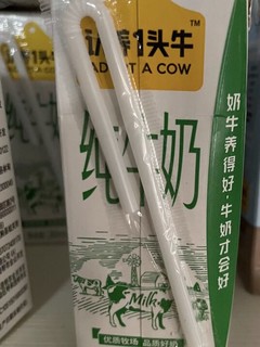 纯纯的牛奶