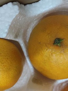 还算不错的京东果冻橙