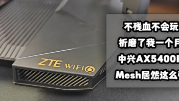 猫头评测 篇三十三：不残血不会玩！折磨我一个月的中兴AX5400Pro路由器Mesh居然这么强！