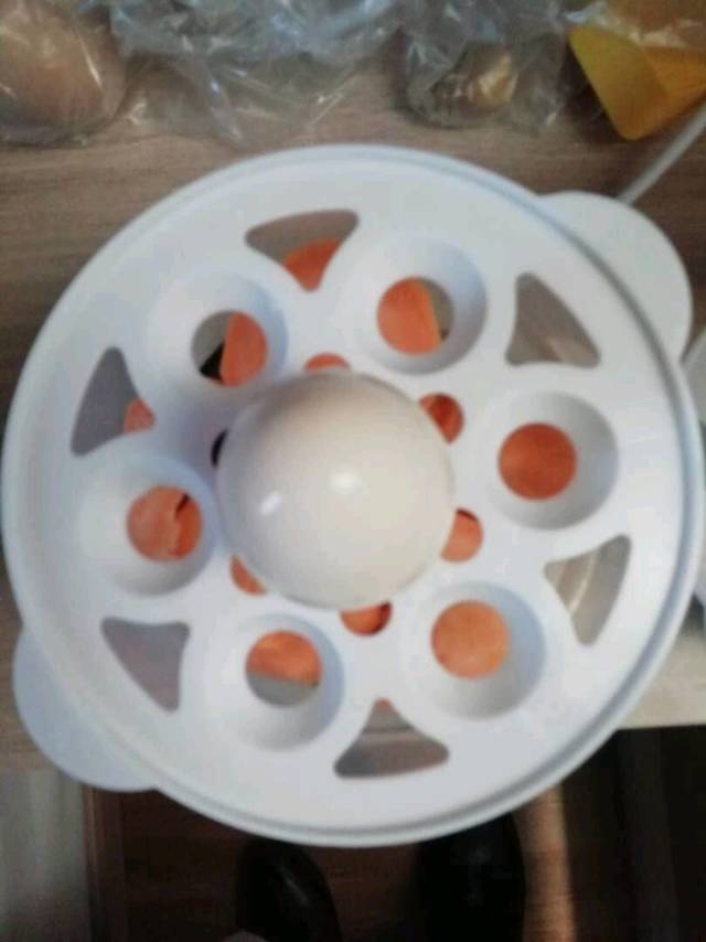 志高煮蛋器