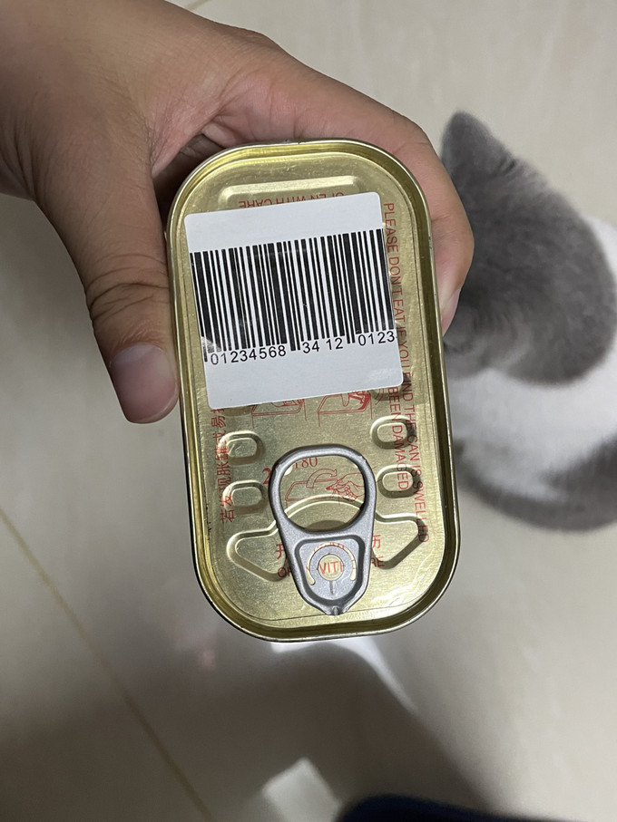 梅林B2肉类罐头