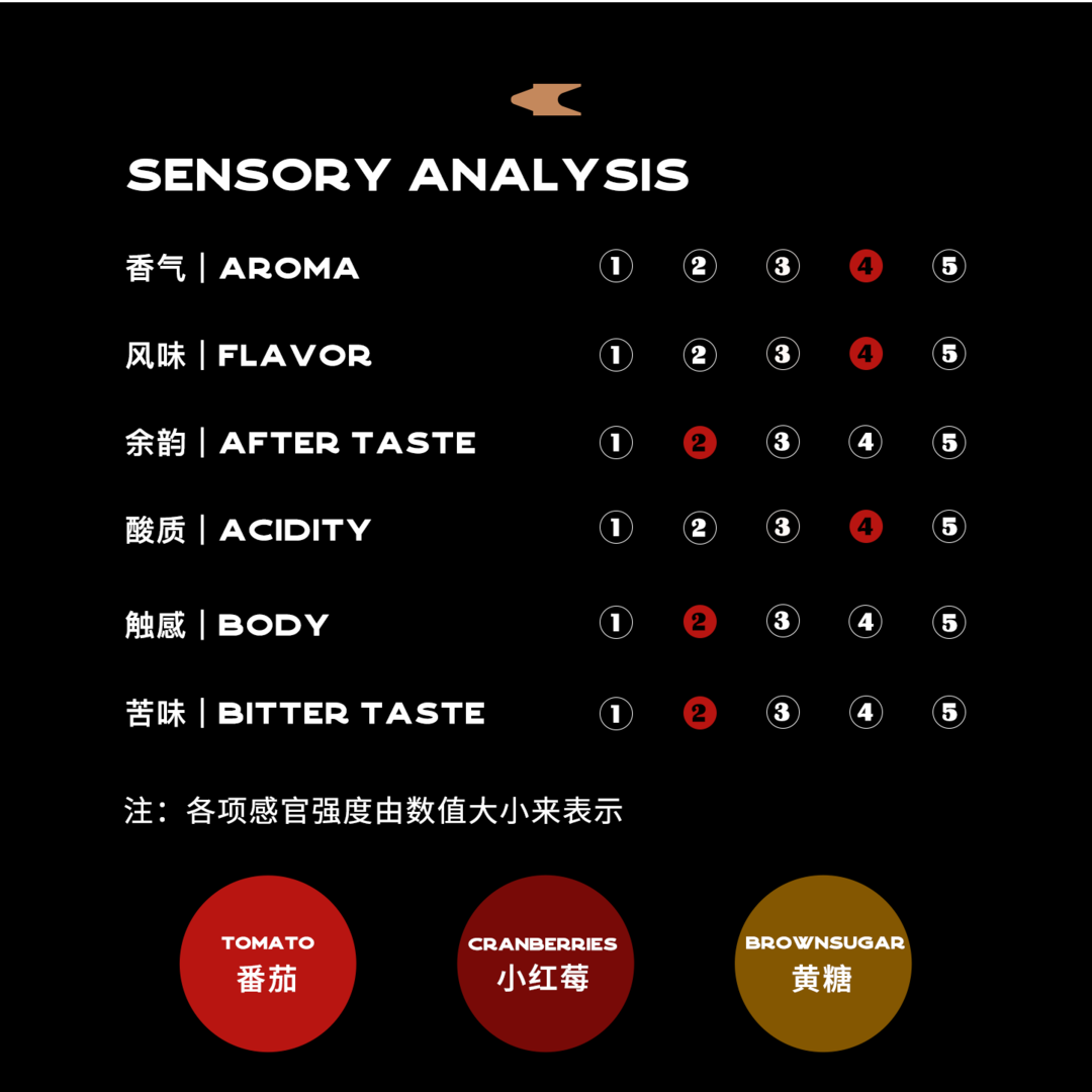 【买好咖啡】精品咖啡的手冲入门——补充篇