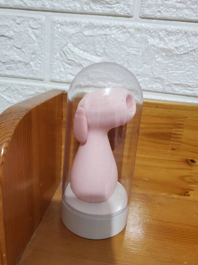 这算是小众嘛？