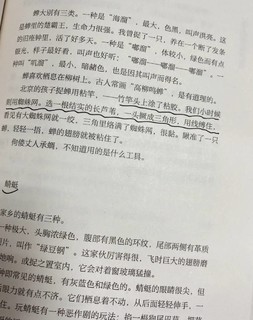 生活是很有趣的