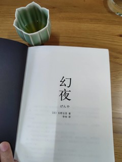 《幻夜》东野圭吾推理小说yyds