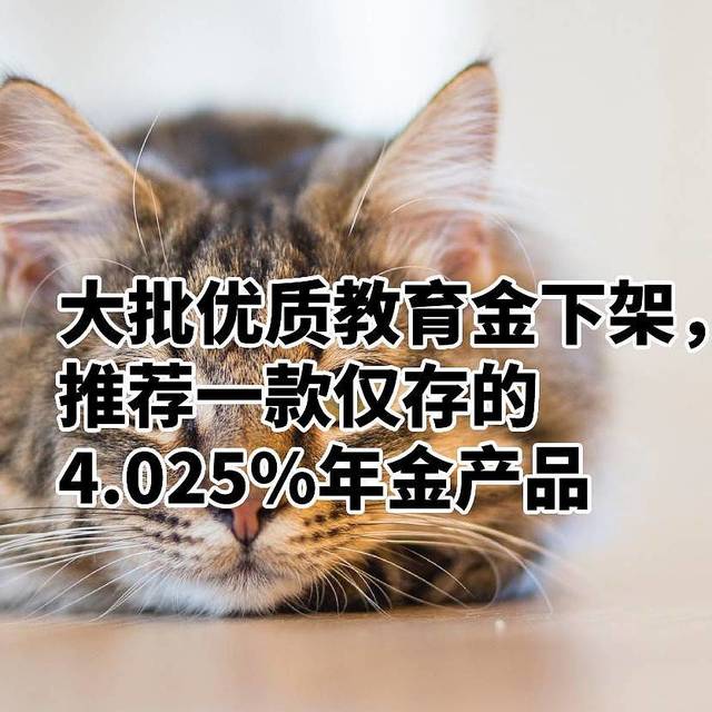 大批优质教育金下架，推荐一款仅存的4.025%年金产品