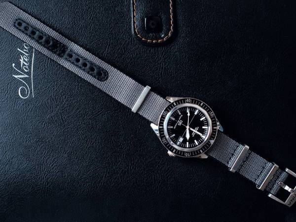 既有华丽外表,也有纯正血统，选他准没错！