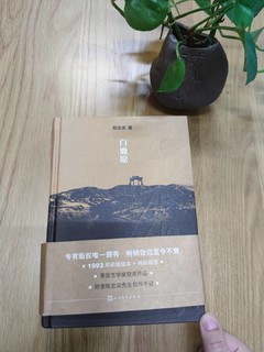 读书解压之茅盾文学奖作品《白鹿原》