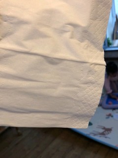 丽邦卫生纸巾