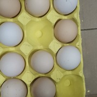 桂青源鸡蛋，正宗的土鸡蛋