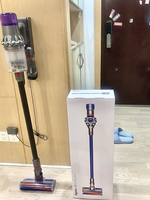 养猫家庭的尽头永远是戴森