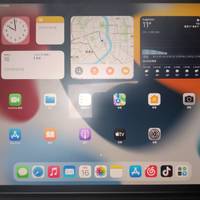 鱼上的ipad pro 2018