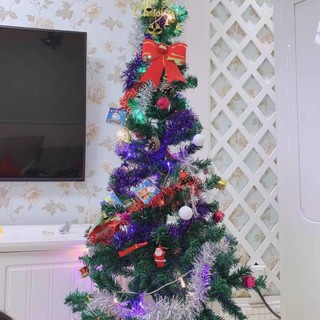 美丽的圣诞树，让宝宝过一个愉快的圣诞节