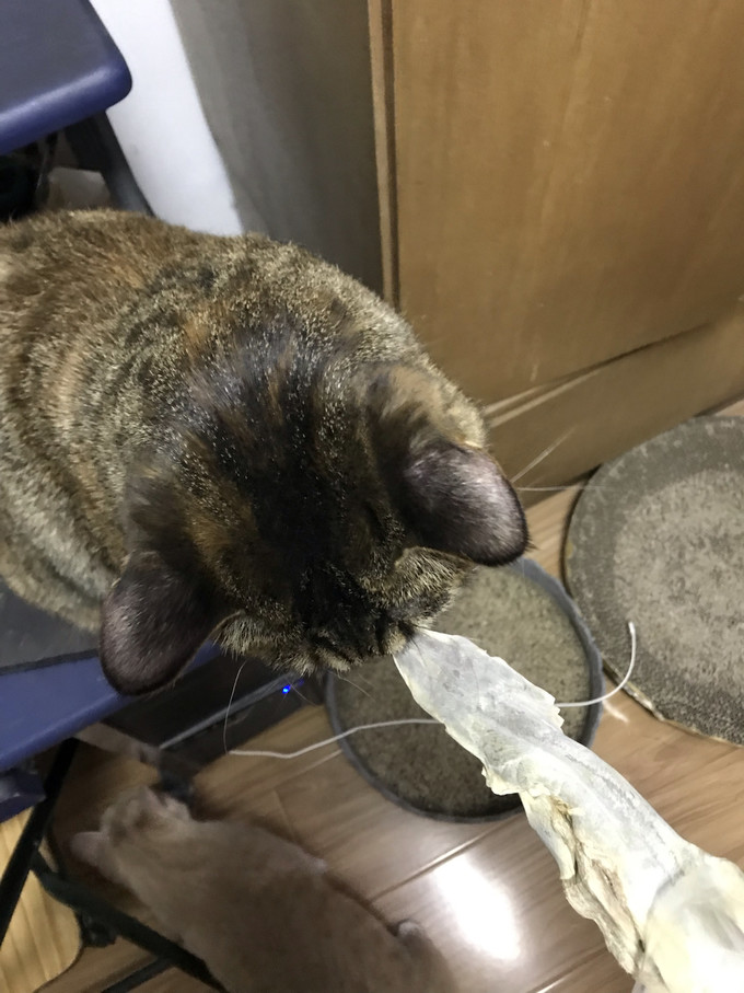 猫咪冻干零食