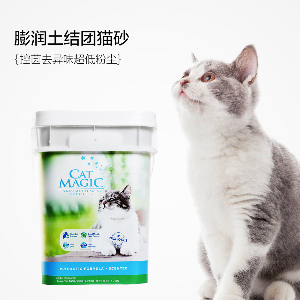 2021年我给猫主子买过的用品—含猫粮 罐头（主食 零食）冻干（主食）