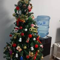 圣诞的仪式感 在家种一棵圣诞树