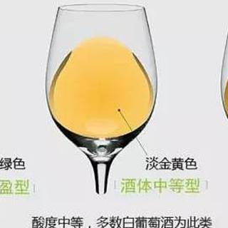 白葡萄酒和干白葡萄酒有什么区别？