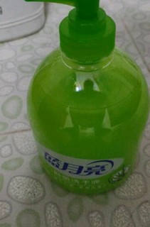 蓝月亮 芦荟抑菌洗手液 500g瓶*2+