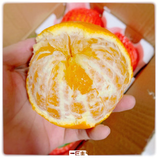 香甜爆汁❗️四川果冻橙柑橘