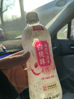 制药厂出的苏打汽水什么味的？