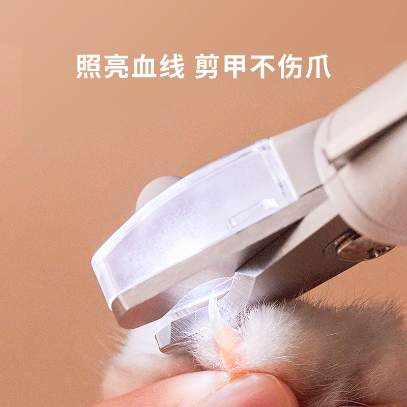 养猫成本究竟有多少？听资深铲屎官给你来算一算~