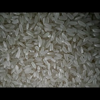 十月稻田寒地之最五常大米
